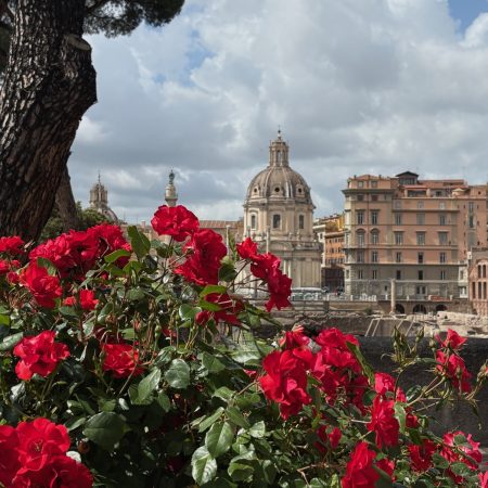 Pre-Elementary 201 - Level A1